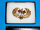 1897 hat pin